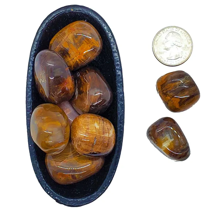 Necklaces Raiders of the Lost Art Petrified Wood Fears be Gone