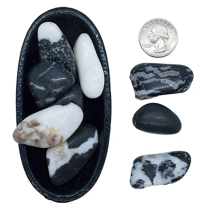 Raiders of the Lost Art Earrings Marble Zebra