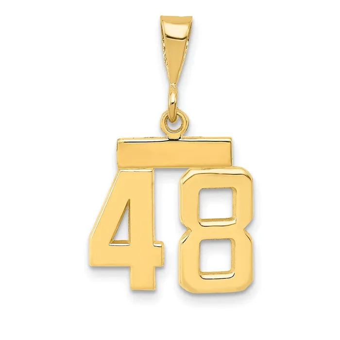 14k Yellow Gold Small Polished Number 48 Charm Goldia Charm Necklaces