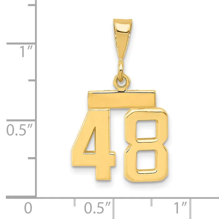 14k Yellow Gold Small Polished Number 48 Charm Goldia Charm Necklaces