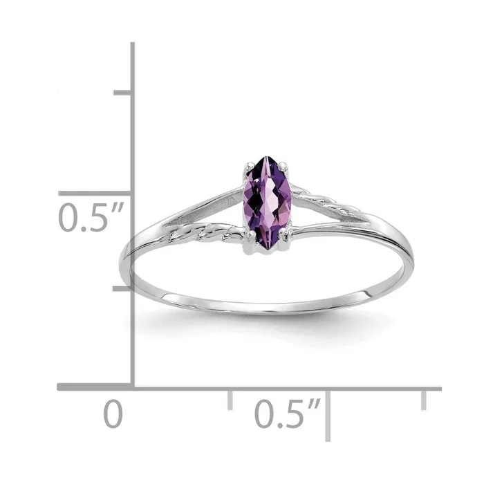 Goldia 14k White Gold Amethyst Birthstone Ring Rings
