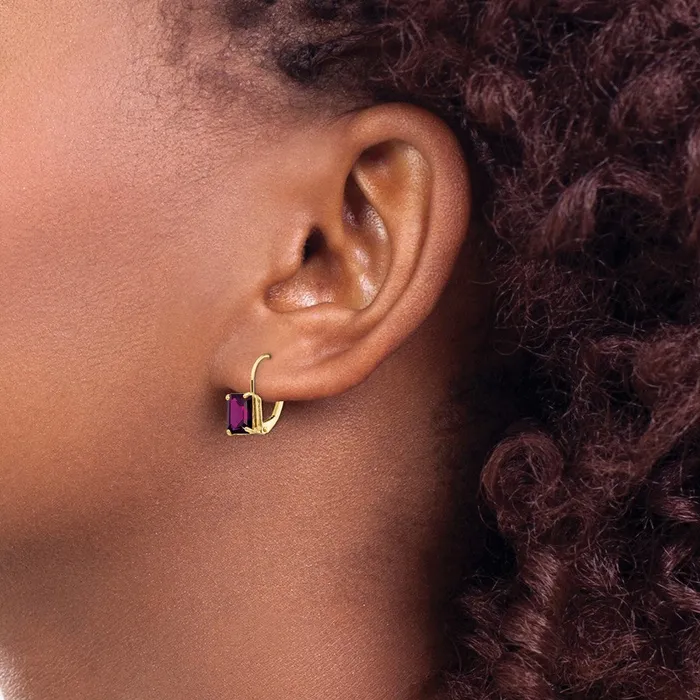 Goldia Earrings 14k Yellow Gold 7x5mm Emerald Cut Rhodolite Garnet Leverback Earrings