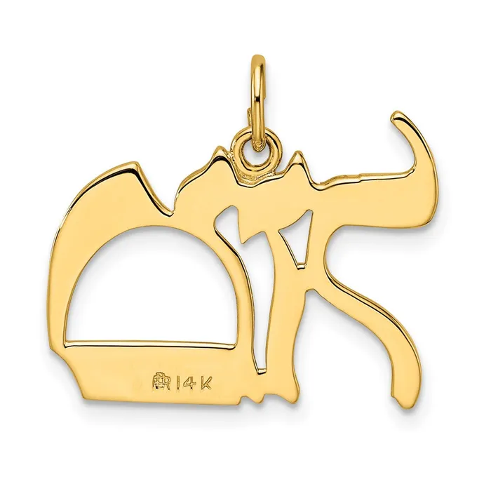 Goldia PreStyled Sets 14k Yellow Gold Polished Solid Mazel Symbol Pendant