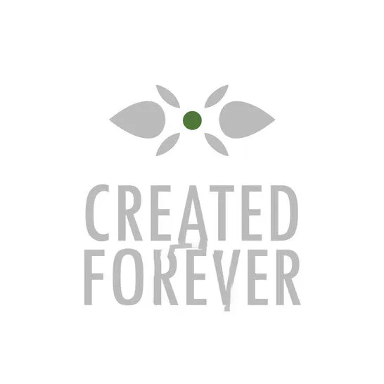Original Created Forever 34 CT TW Lab Created Diamond Halo Stud Earrings in 14k White Gold JMS always Earrings Original Created Forever 34 CT TW Lab Created Diamond Halo Stud Earrings in 14k White Gold JMS always Earrings